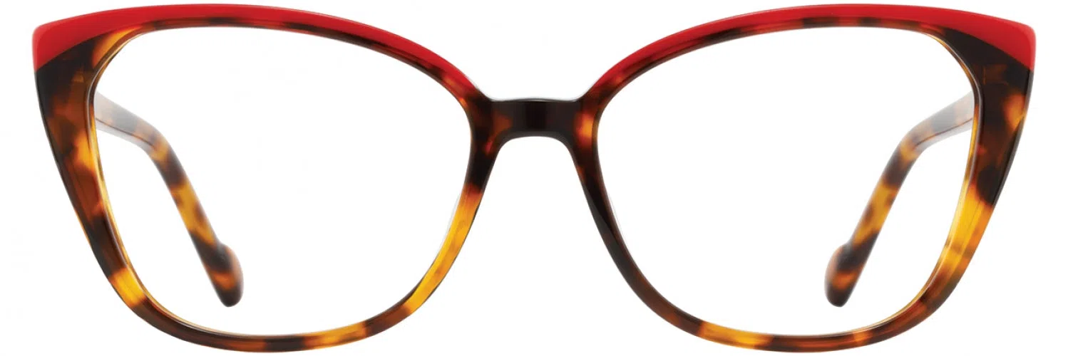 Scott Harris SH846 Eyeglasses - view 10